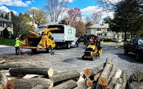 Best Tree Preservation Services  in Caoncito, NM
