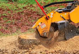 Best Tree Removal  in Caoncito, NM
