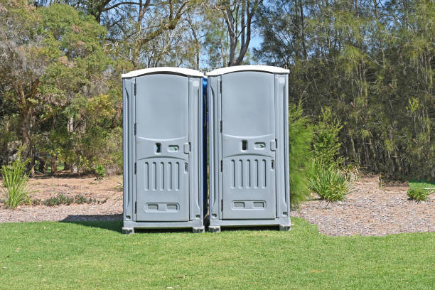 Best Organic Lawn Care Solutions  in Caoncito, NM