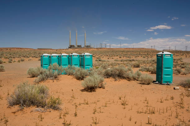 Best Lawn Pest Prevention  in Caoncito, NM